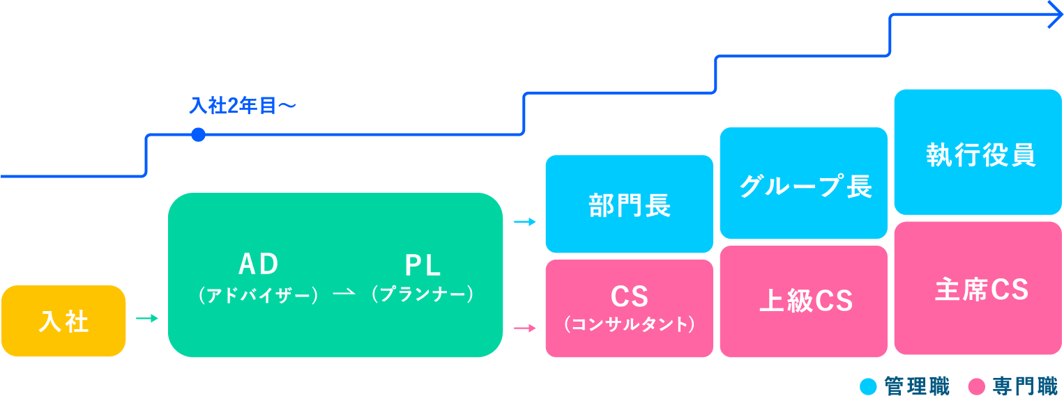 新卒からのキャリアステップ図