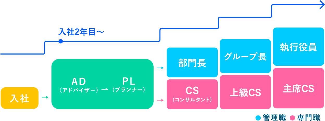 新卒からのキャリアステップ図