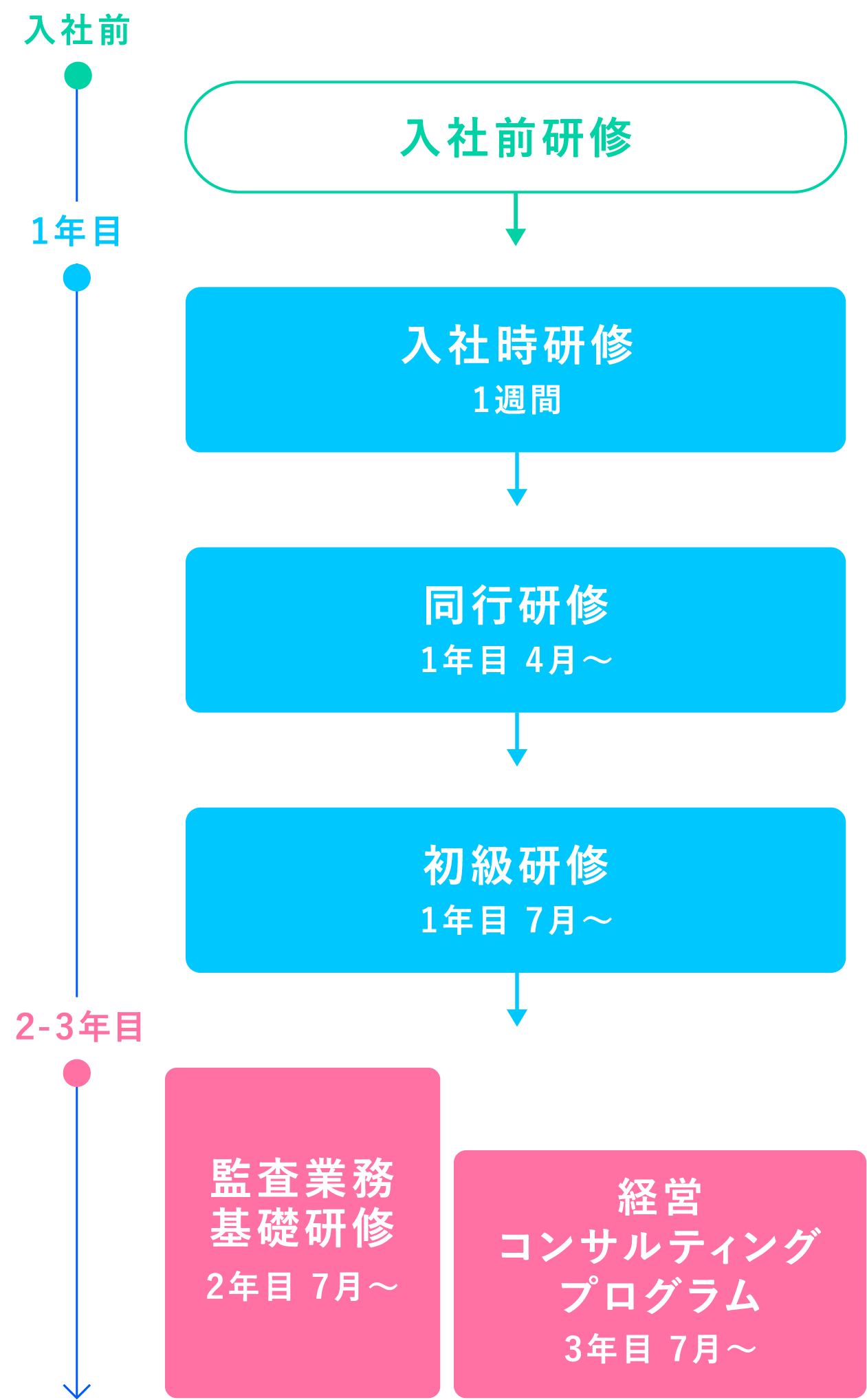 3年間の人材育成プログラム