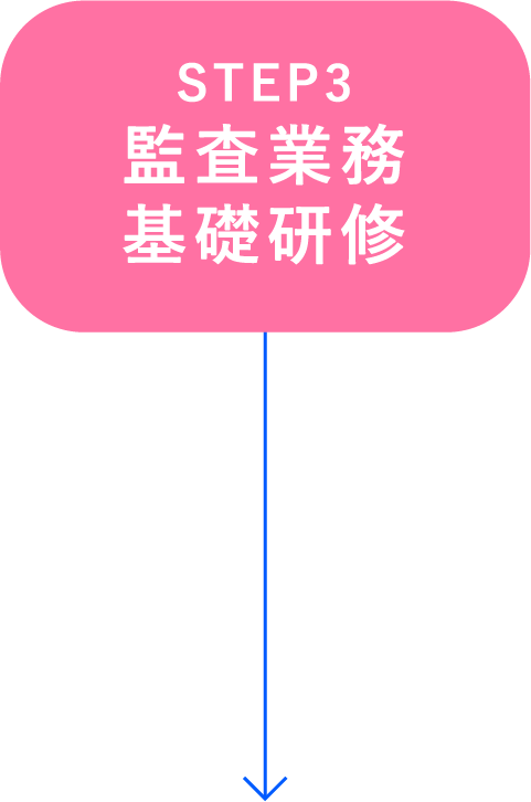 STEP3 監査業務基礎研修