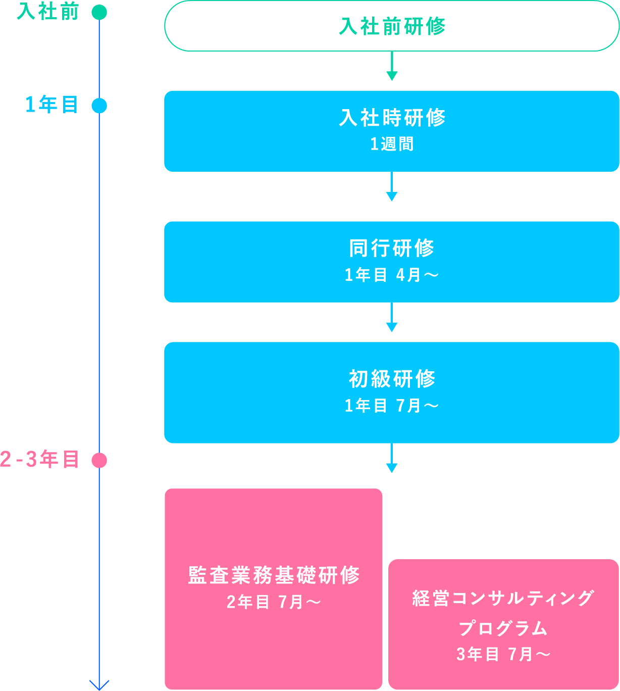 3年間の人材育成プログラム