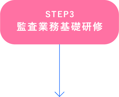 STEP3 監査業務基礎研修